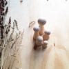 Kegelpoppetjes | stel je eigen familie samen - Afbeelding 4